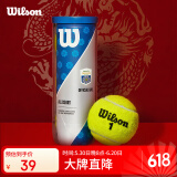 Wilson威尔胜大师赛通用网球比赛3只一罐【球面数字随机】 WR8208802001