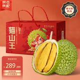 京鲜生马来西亚D197猫山王榴莲冷冻3-4斤保4房新鲜水果