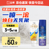 墙面修补膏补墙漆膏乳胶漆自喷漆220ml+抗菌补墙漆300g