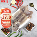 富海锦鲜冻整只大鱿鱼1.6斤 2-3条 火锅烧烤食材 轰炸大鱿鱼海鲜软足