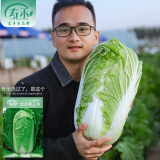 寿禾 白菜种子农科院北京新三号蔬菜菜籽 北京新三号白菜种子8g约2200粒
