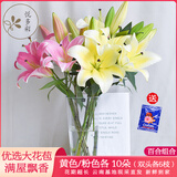 悦多彩AB级优质香水百合 家庭办公室各色生活鲜花 昆明基地 现采直发 百合组合20朵（黄色/粉色各10朵）