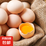 可生食鸡蛋含DHA无抗Omega-3 新鲜鸡蛋 早餐买菜无菌蛋京东包邮 1350g DHA鸡蛋30枚