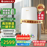 格力（GREE）除湿机家用抽湿机客厅地下室整屋除潮防霉除湿器40升/天单间72㎡ 智能控湿可干衣干燥器DH40EH