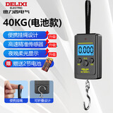 德力西电气（DELIXI ELECTRIC）手提秤弹簧秤迷你吊钩秤挂称电子称行李秤称重器快递称40kg电池款