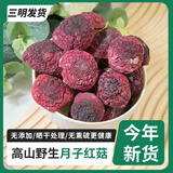土地伯伯今年新菇野生红菇干货福建三明蓝底正红菇红蘑菇月子滋补食材 地蕴级250g（品相味道上乘）