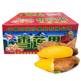 雪莲果新鲜 云南天山雪莲果 红泥沙黄心雪莲果新鲜 一级大果礼盒 天山雪莲果5斤装净果4.5斤