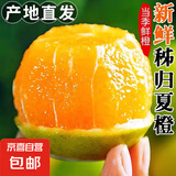 京喜加【25年鲜橙】湖北秭归橙子新鲜采摘夏橙当季新鲜水果【8甜2酸】 带箱2斤55-60mm