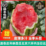 时寐正宗北京庞各庄西瓜【顺丰快递送货到家】脆甜自然熟头茬瓜水果 果农精选4颗（净重11-12斤左右）