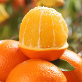 三峡红果缘湖北纽荷尔鲜橙脐橙 当季新鲜孕妇水果湖北甜橙整箱手剥酸甜大果 净重9斤大果【70mm+ 吃货优选】