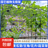 园艺花架黄瓜爬藤架子葡萄架子庭院户外月季植物固定支撑杆蔬菜架 加厚款直径11mm长度150cm(10支）