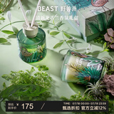 野兽派（THE BEAST）Jungle清新龙舌兰香薰蜡烛礼盒室内香薰新婚礼物生日礼物