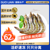 GUO LIAN国联生鲜盐冻大虾 去冰净重3斤 73-90只 盒装活冻 海鲜海产冷冻虾