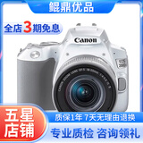 佳能/Canon EOS 100D 200D 200d二代 二手单反相机 200D二代白 18-55  防抖 套机 99新
