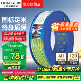 正泰（CHNT）电线铜芯电缆电源线BV1.5/2.5/4平方6平方国标纯铜家装硬电线 双色BV2.5（100米）