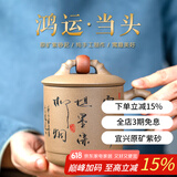 玉颐阁 宜兴紫砂杯功夫泡茶具办公会议室喝茶杯盖杯原矿紫砂杯 鸿运当头 段泥400cc