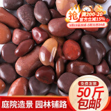 大海边【12仓速发】50斤鹅卵石铺路铺地庭院园林造景天然大小鱼缸雨花石 【50斤装精抛红色】2.0-3.0cm