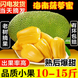 禧友鲜 海南菠萝蜜整个 黄肉波罗密一整个 三亚当季现摘波罗蜜 顺丰可选 【尝鲜福利价】10-15斤品质尝鲜