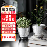 九千谷花盆塑料透明懒人自吸水盆水培水养植物免浇水储水盆口径11cm6025