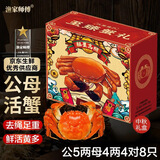 【活蟹】漁家师傅大闸蟹公5-5.3两母4-4.3两4对8只 去绳足重鲜活螃蟹现货生鲜礼盒