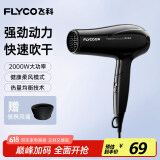 飞科（FLYCO）电吹风机家用便携冷热风护发速干吹风筒2000w大功率FH6231