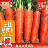 北蔬 胡萝卜种子苗三红七寸参夏秋季菜种籽 新黑田红笋胡萝卜种子10g