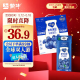 蒙牛（MENGNIU）纯甄蓝莓果粒风味酸奶200g×10盒 礼盒装
