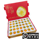 觅式广西融安脆蜜金柑第三代金桔韦依滑皮脆皮金橘新鲜水果生鲜礼盒 脆蜜35枚顶果礼盒 （净重2.8斤）