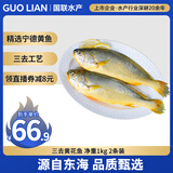 GUO LIAN国联 三去黄花鱼 2斤共2条国产东海大黄鱼 海鲜海产冷冻
