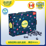 怡颗莓Driscoll's 秘鲁蓝莓中果14mm+ 12盒原箱礼盒125g/盒 源头直发