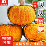 京喜加百万复购贝贝南瓜板栗味小南瓜正宗新鲜粉糯香甜单果100g起 贝贝南瓜 300g ±20g 小果
