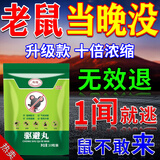 驱鼠神器鼠老驱赶神器一窝端驱鼠丸捕捉器强力粘鼠板超强型贴克星 单包装【强力驱鼠丸】