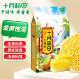 十月稻田 大黄米 2斤（黍米 黄黏米 粽子米 粗粮杂粮 大米伴侣 端午食材）