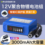 德力普（Delipow）12v锂电池大容量锂离子聚合物锂电池组带显示屏移动电源太阳能灯音响监控设备24V可充电方形电池 12V 3000毫安【带显示器+送1A充电器】