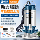 臣源不锈钢潜水泵220V家用井水抽水泵农用清水污水泵小型高扬程排污泵 370W/1寸不锈钢清水泵+10米线