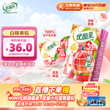 伊利优酸乳白桃果粒250g*16盒/箱 早餐伴侣 牛奶饮品 礼盒装