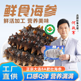 董二胖【有机】大连海参鲜食刺参 即食免洗单独装 送礼高品质生鲜水产 8A参王 5-6只/1斤 2斤装(顺丰冷链 保鲜)