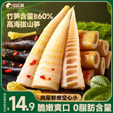 比比赞（BIBIZAN）手剥笋泡椒味500g0脂肪含量即食脆嫩笋尖小吃办公室休闲零食品