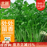 北蔬 香菜种籽老品种小叶大叶盆栽四季籽种苗 叶多维香菜种子约1300粒
