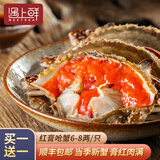 红膏呛蟹整只咸蟹炝蟹即食韩国酱母蟹宁波舟山梭子蟹糊螃腌生腌蟹 大号宴请【6-8两】到手2只