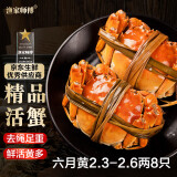 【活蟹】漁家师傅2.3-2.6两8只大闸蟹去绳足重鲜活螃蟹六月黄现货生鲜水产礼盒源头直发