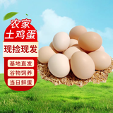 云依禾农庄 新鲜现捡土鸡蛋谷物虫草柴鸡蛋  粉皮散养草鸡蛋鲜鸡蛋 50枚