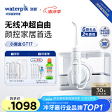 洁碧（Waterpik）冲牙器家用台式洗牙器水牙线洁牙器家用预防牙结石小魔盒GT17-12白礼物牙齿冲洗器