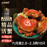 【活蟹】漁家师傅大闸蟹2-2.3两10只 去绳足重鲜活六月黄现货螃蟹生鲜水产礼盒源头直发