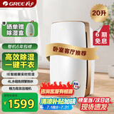格力（GREE）除湿机/抽湿机家用20升/天卧室客厅除潮除霉除湿器干燥器可干衣智能控湿可定时DH20EH