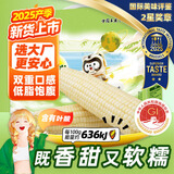 东北农嫂糯玉米甜糯香粘真空装黏玉米棒吉林产低脂主食可选有机 【新货更甜糯】白甜糯2kg约8穗