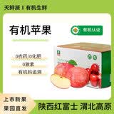 有机苹果红富士水果礼盒陕西农场直发自然成熟不打蜡新果礼品 有机苹果礼盒装85mm 16颗