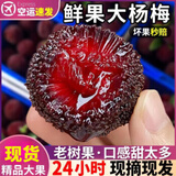 三萌果蔬 浮宫东魁杨梅【顺丰空运-多地次日达】新鲜杨梅仙居水果端午送礼 净重5斤老树果 单果10g+