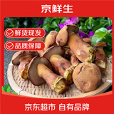 京鲜生&云芳斋云南当季新鲜 见手青2斤 当季鲜货牛肝菌 青手菌 源头直发