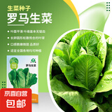 大白菜种子空心菜生菜奶油小白菜红心胡萝卜西葫芦农科院蔬菜籽孑 罗马生菜种子中蔬 1克